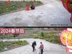 -上海德威外籍人员子女学校(浦东校区)