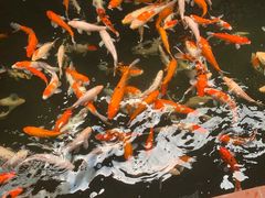 -侠成水上农庄(工业大道店)