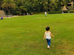 -海南清水湾莱佛士酒店