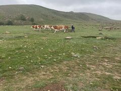 -石条山