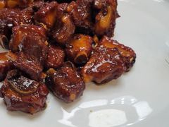 -丁老爷子苏香圆