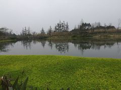 -桤木河湿地公园