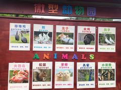 -宁波九龙湖开元度假村