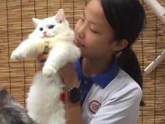 -楼上猫咖(罗湖店)