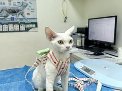 -美联众合24小时·皮肤科·外科·全科诊疗中心(华苑分院)