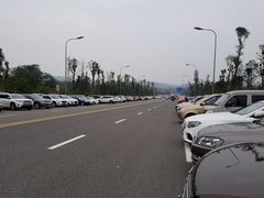 -枫香湖儿童公园