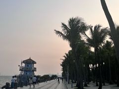 -深圳湾公园(南山区)