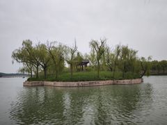 -皇家御河游(紫御湾码头)