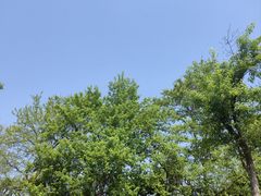 -金海湾滨江公园