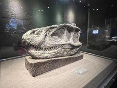 -自贡恐龙博物馆