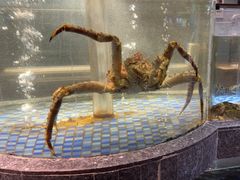 -海派美食·家宴海鲜青岛菜·石锅鲽鱼头(东方城店)