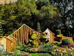 -上海共青森林公园