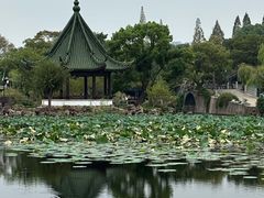 -无锡蠡湖国家湿地公园-蠡园