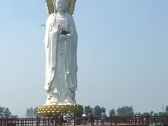 -白洋淀景区