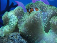 -太平洋海底世界