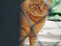 -里面·Noodlology(机电院店)