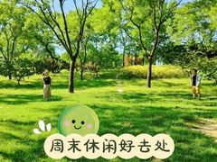 -北坞公园