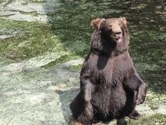 -深圳野生动物园