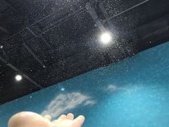-Mr·Kuma酷么先生雪之乐园