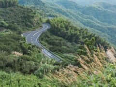 -四明山国家森林公园