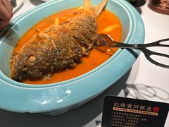 -阿五黄河大鲤鱼(英协路店)