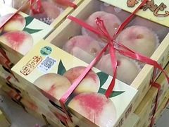 -南汇水蜜桃采摘(大团店)