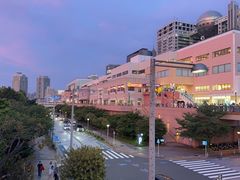 -台场海滨公园船码头