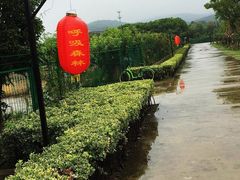 门面-呼吸森林·生态农庄农家乐私房菜