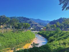 -福建土楼（华安）旅游区•大地土楼群