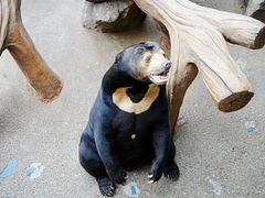 -北京野生动物园