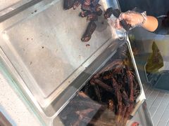 -都士牧人现烤牛肉干
