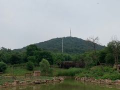 -合肥野生动物园