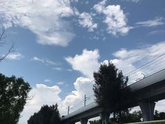 -宝安西湾红树林湿地公园