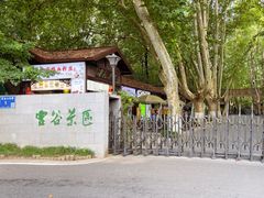 -灵谷景区