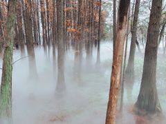 -东湖落雁景区