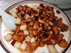 -雲蜀龙阁·金牌水煮鱼(方庄店)