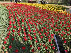 -长春公园(普阳街道)