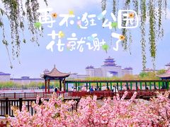 -莲花池公园