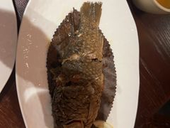 -滇野云南野生菌餐厅(陕西南路店)