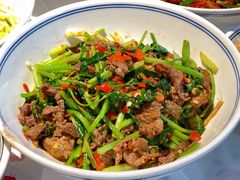 香菜炒牛肉-壹盏灯(蚂蚁工房店)
