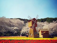 -苏州上方山国家森林公园