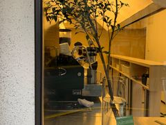 -村口大树(长乐路店)