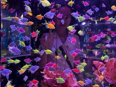 -南昌融创海世界