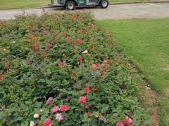 -东莞海逸高尔夫球会