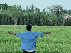 -汉长安城未央宫国家考古遗址公园