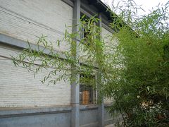 -陕西师范大学(雁塔校区)