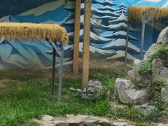 -青藏高原野生动物园