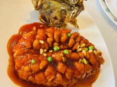 松子桂鱼-和平饭店·龙凤厅 Dragon Phoenix