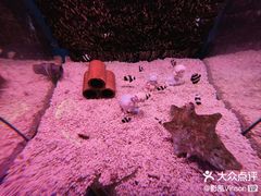 -正佳极地海洋世界