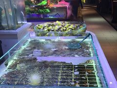 -聚盛源蒸汽海鲜火锅烤肉自助(巨川金海岸购物广场店)